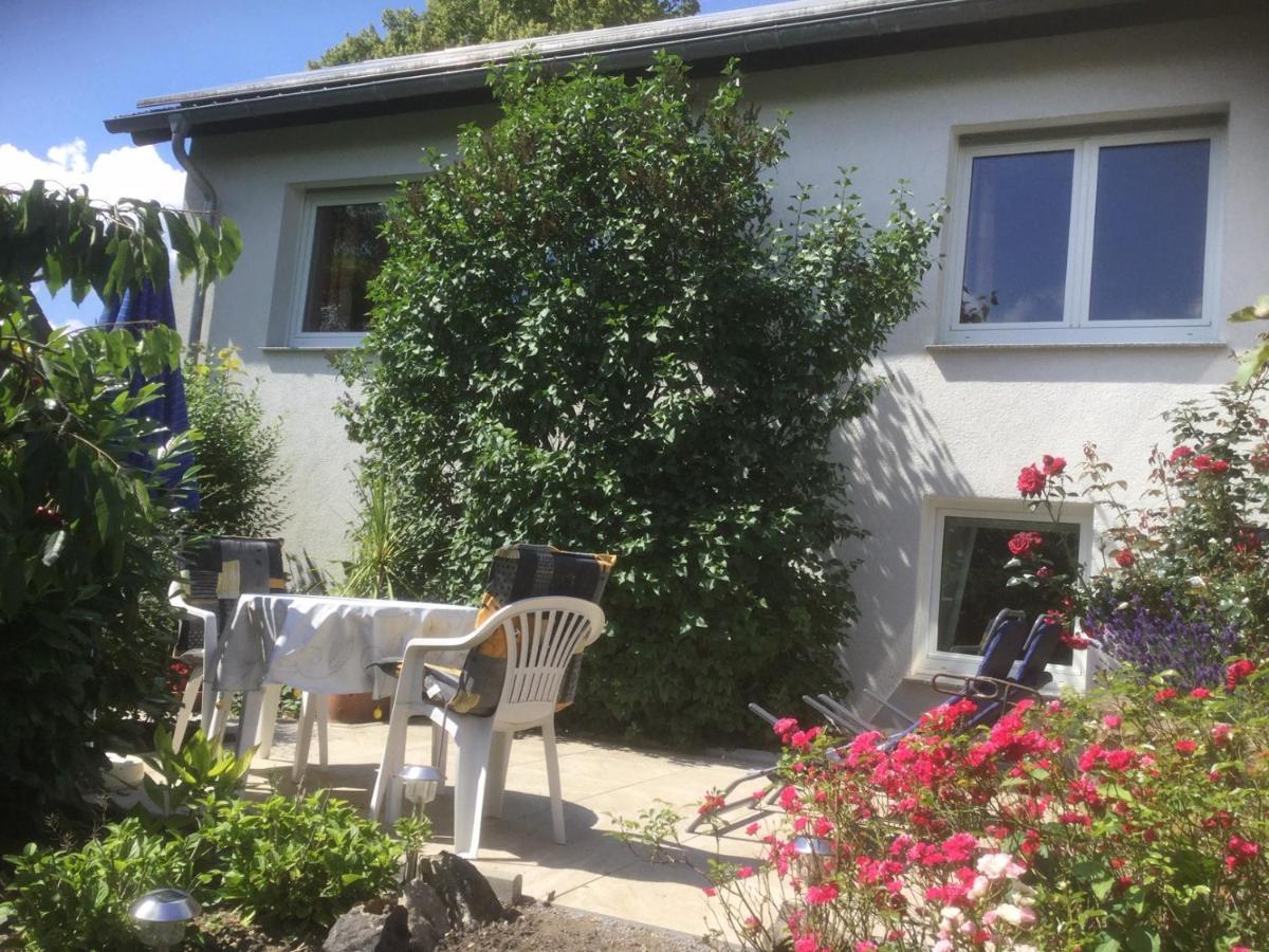 Ferienhaus Moock Horn-Bad Meinberg Eksteriør billede